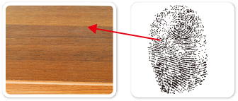 1585639273742384.jpg