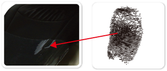1585639625904516.jpg