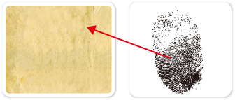 1585642213668558.jpg