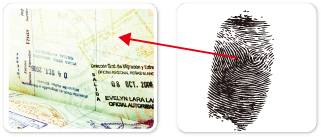 1585642230552610.jpg